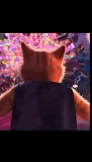 Фотография поста