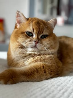 Всем прекрасного субботнего вечера! Слабо не пить сегодня?) image preview