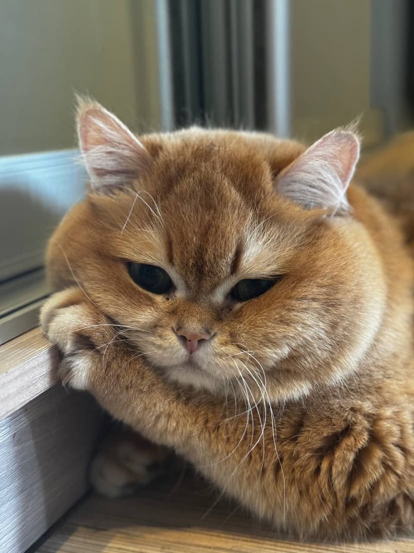 Фотография поста