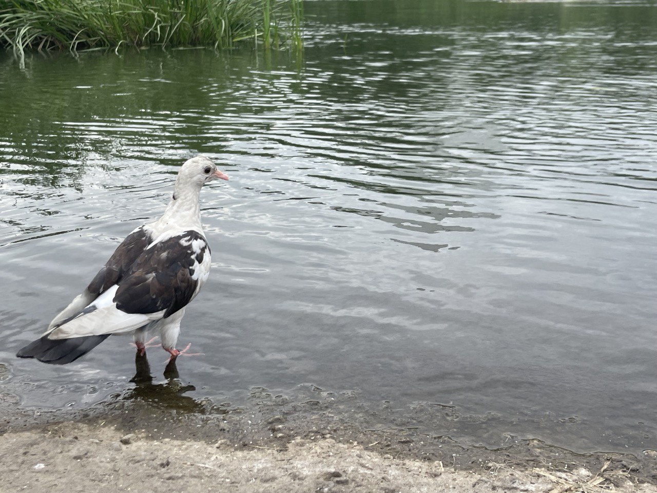 Хочешь что бы тебя окружали умные и сильные -... image preview