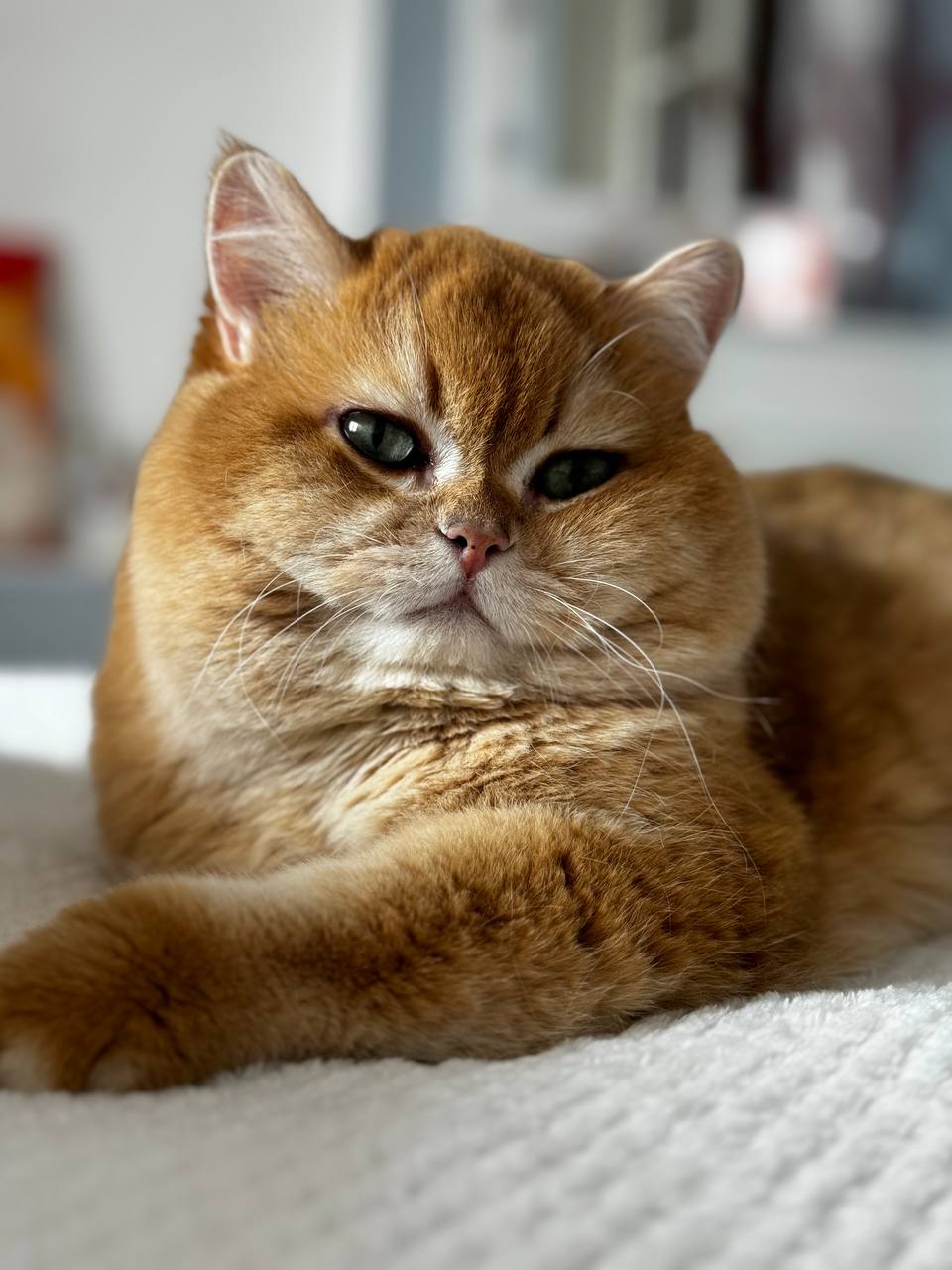 Субботний вечер: Слабо не пить сегодня? image preview